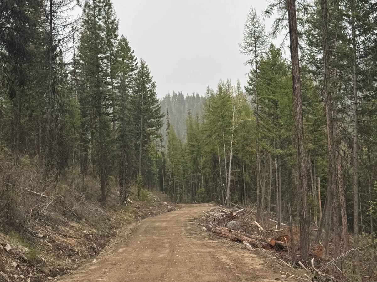 Echo Creek - FS 6113-325 photo 3