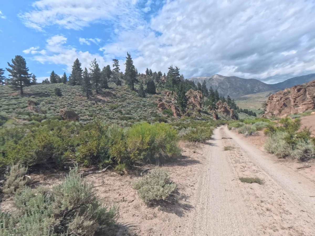 Bishop Tuff Cutoff - FS 4S38A photo 4