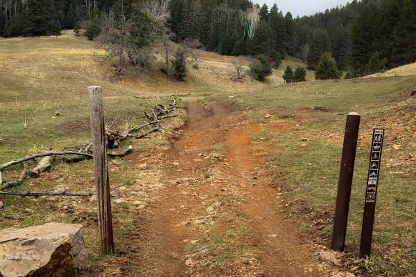 Upper Wills Canyon - FS 9278 