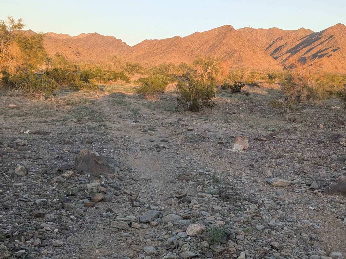 EC1248 trail photo