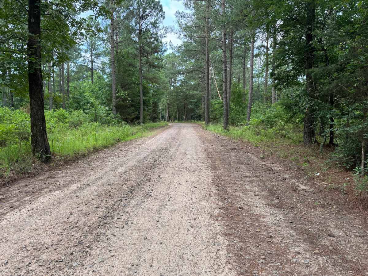 County Road 4430 photo 5