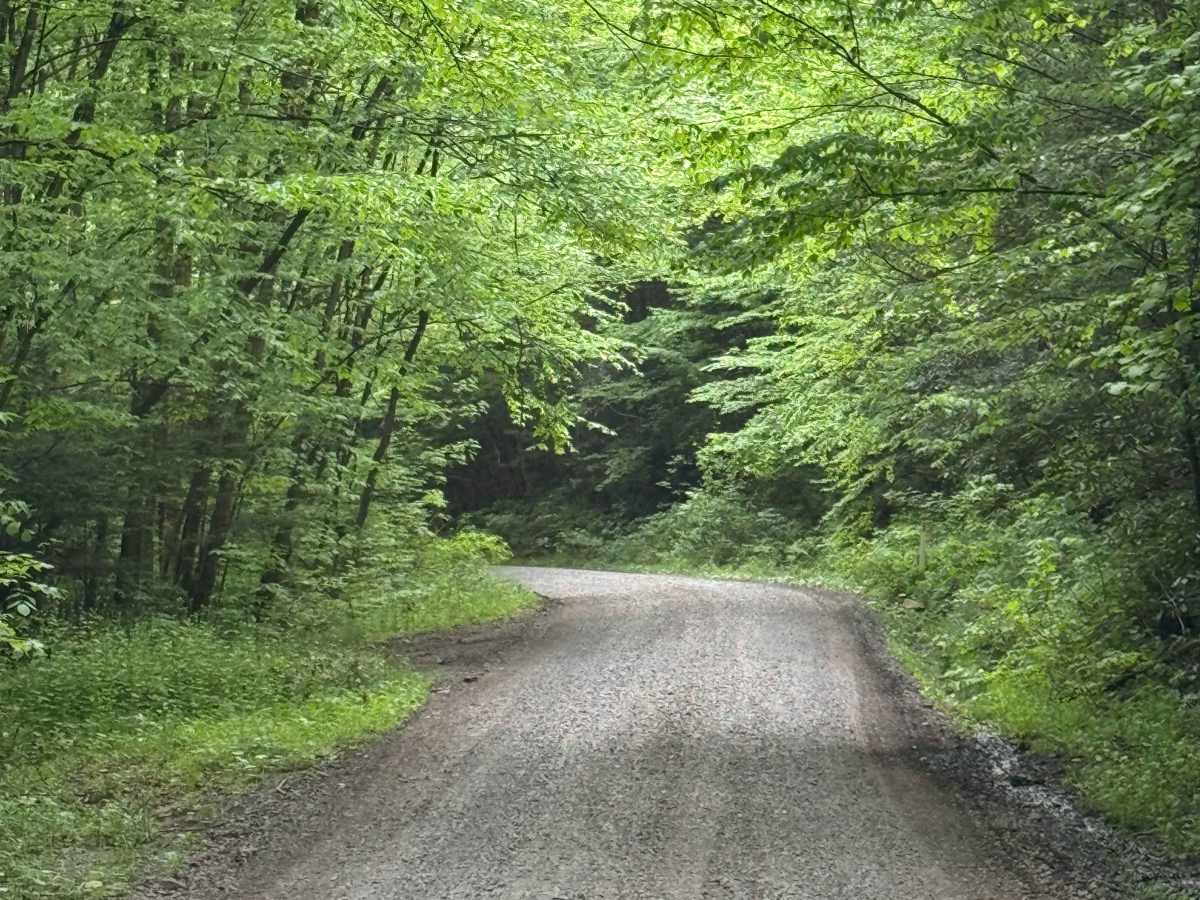 Stoney Run Road photo 5
