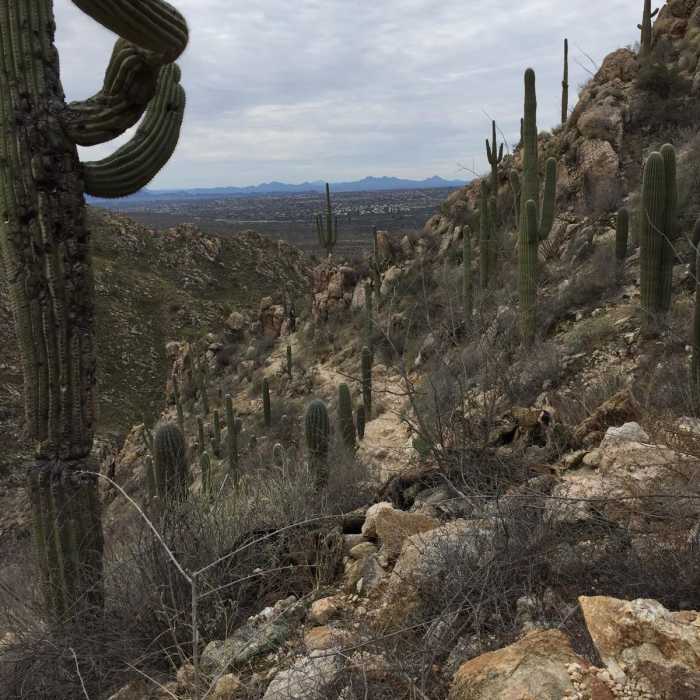 Near Romero Canyon Trail