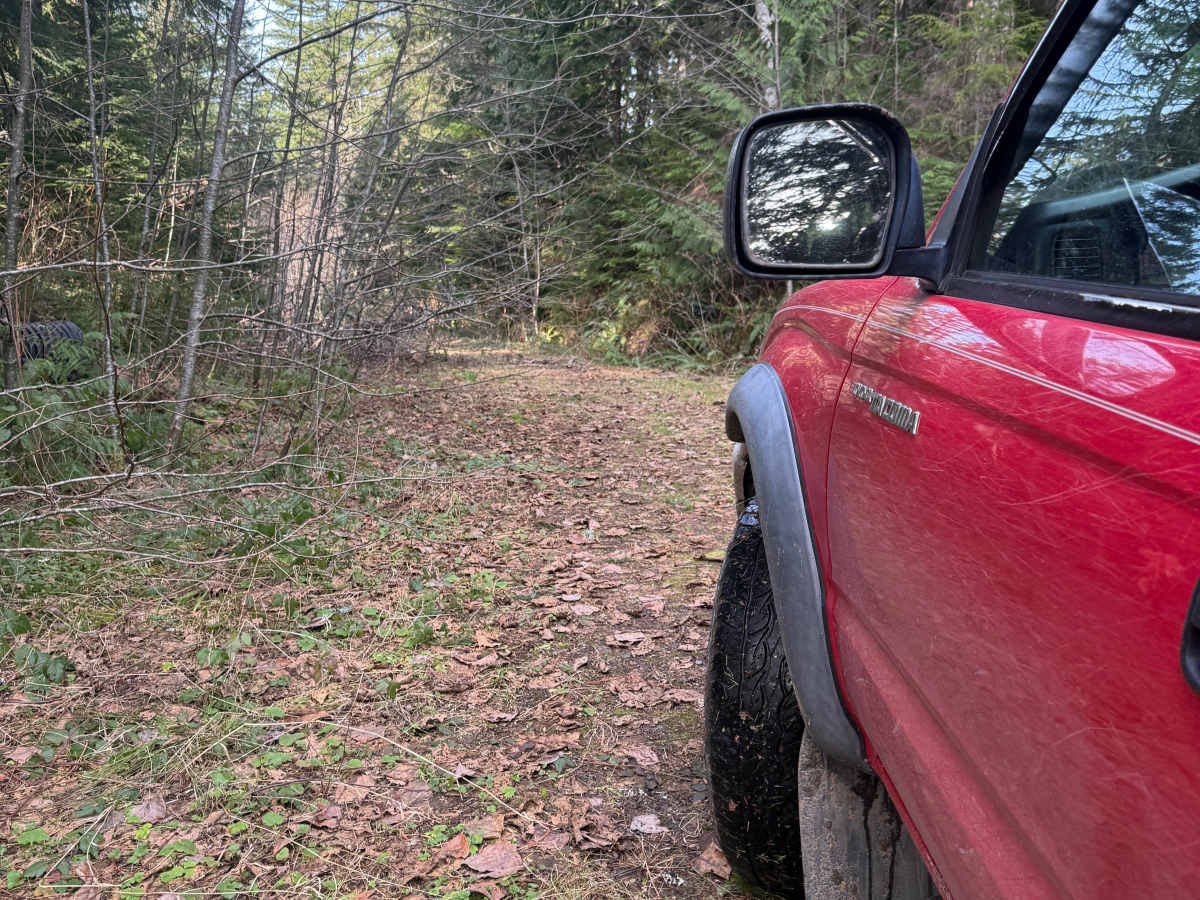 Dapper Dan trail photo