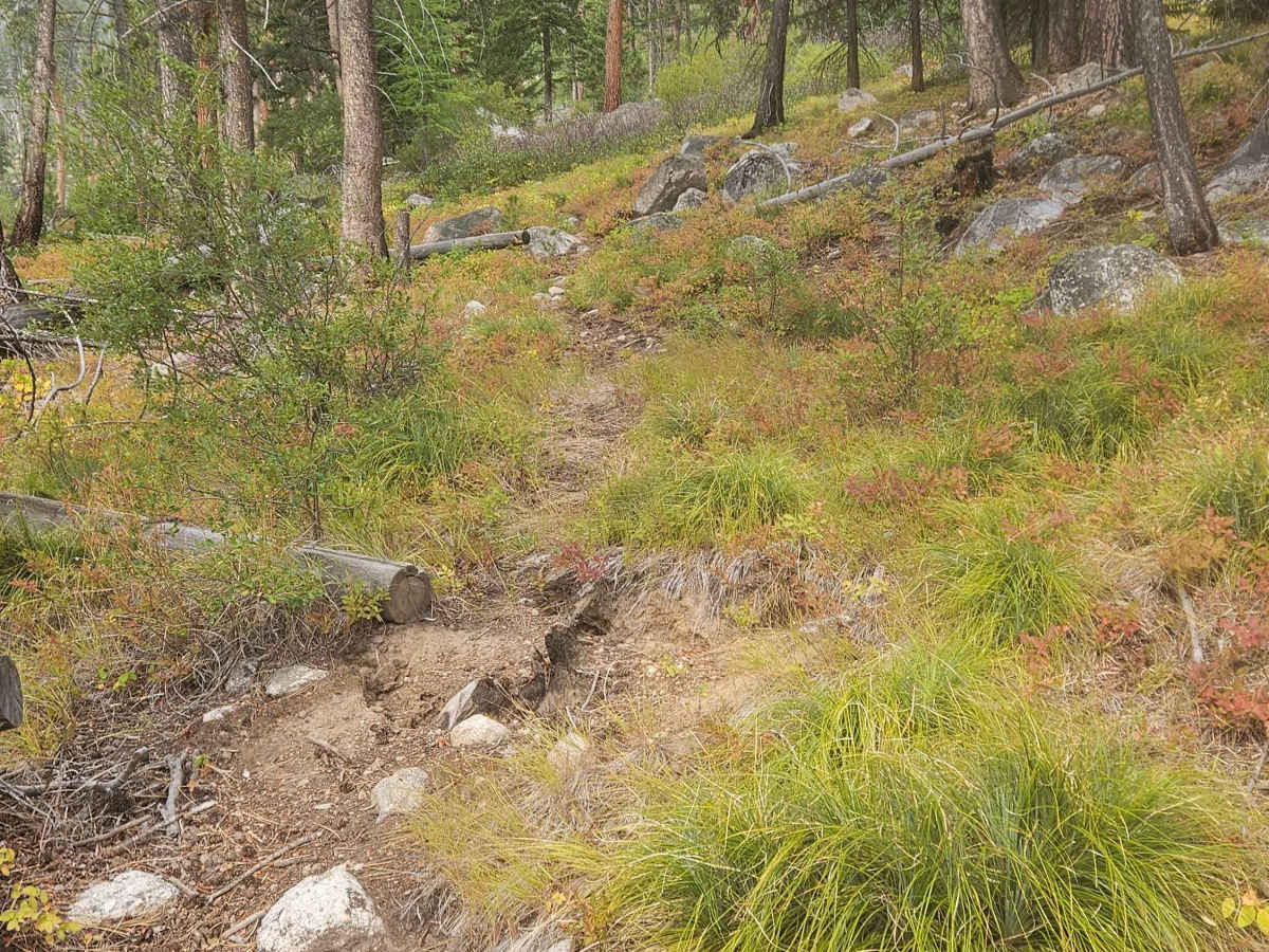 Gash Creek Singletrack photo 6