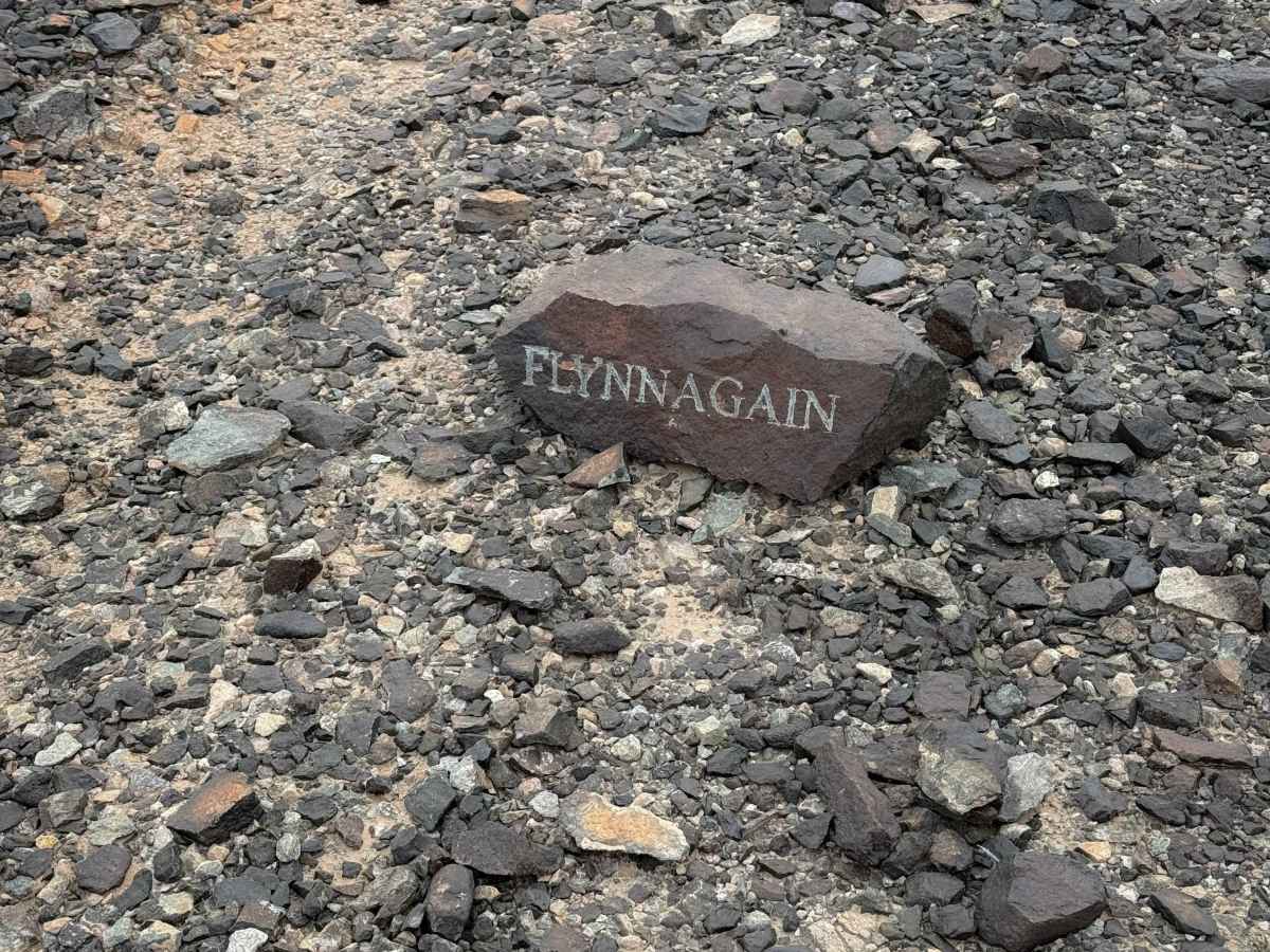 Flynnagain photo 4