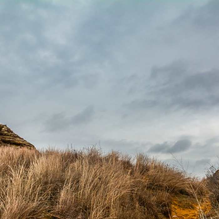 Near Horsethief Canyon Trail