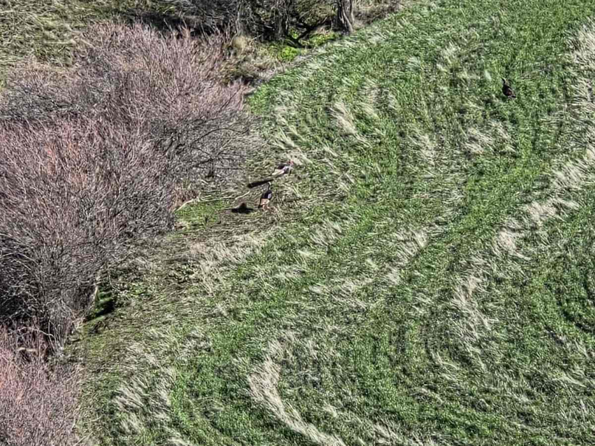 Range Grade Road photo 4
