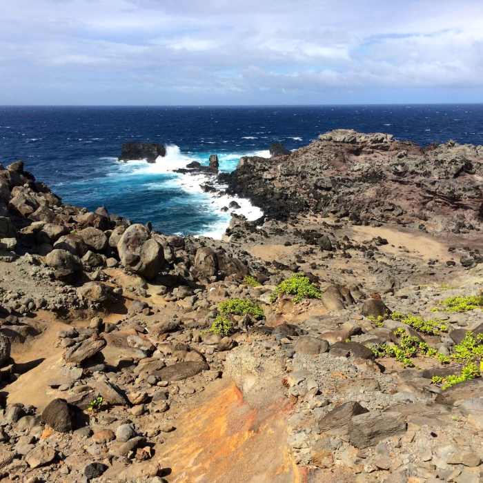 Beautiful views of the rugged coast of Nakalele Point Near Nakalele Blowhole