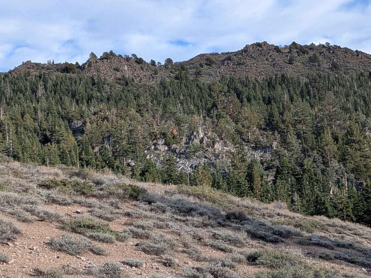Leviathan Creek photo 4