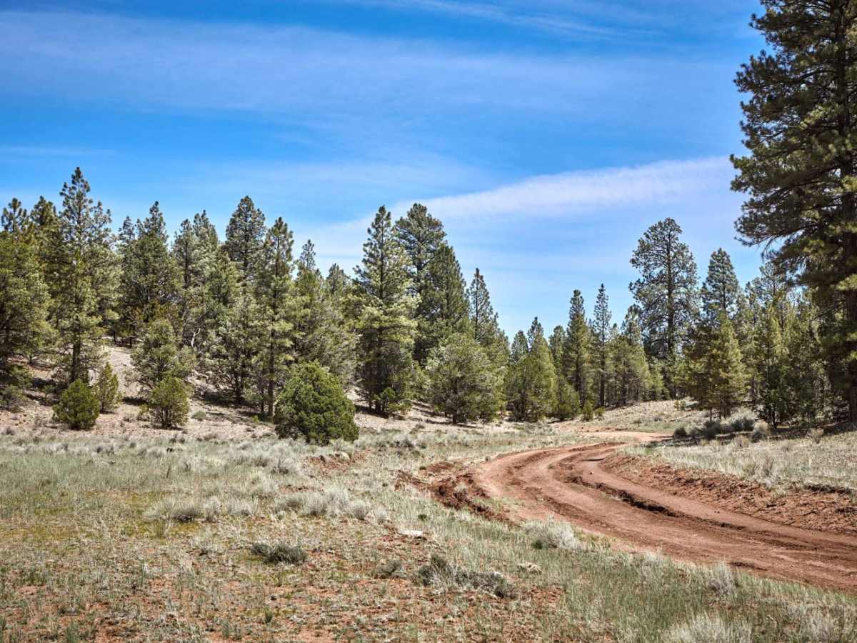 Peterson Flat photo 4