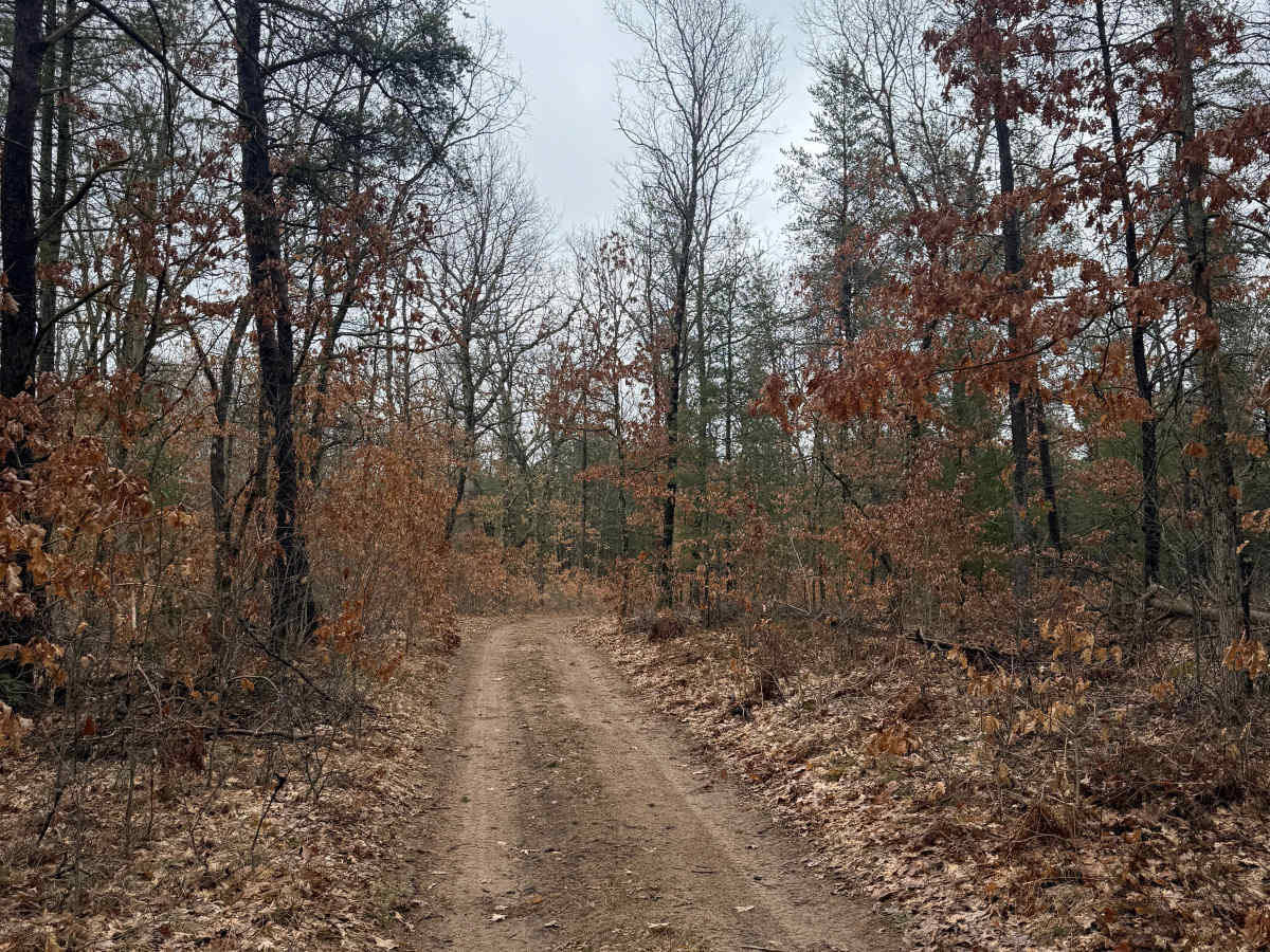 FS 5037 photo 6