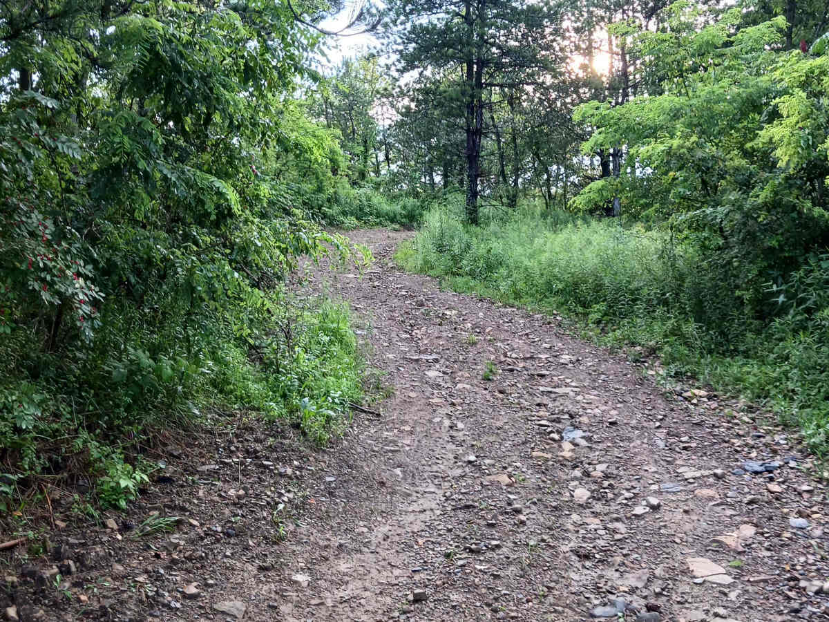 Trail 10F - Rock Run Recreation Area photo 2