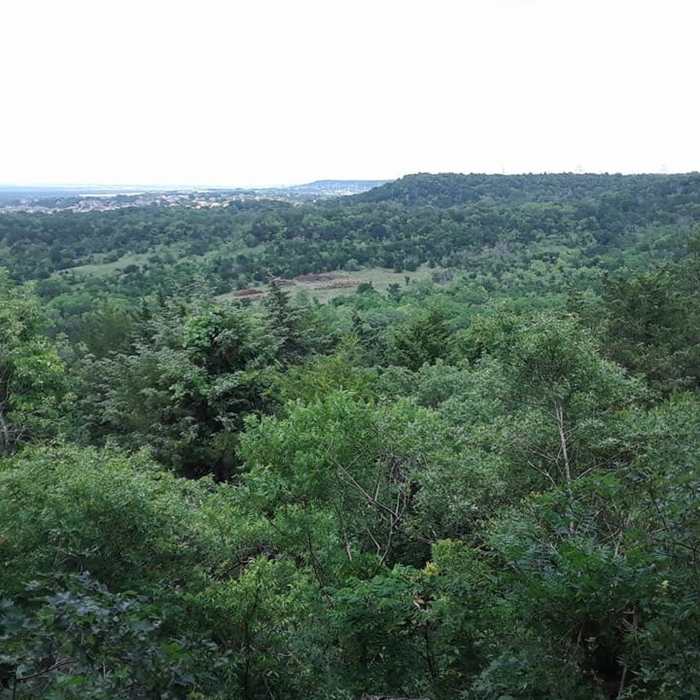 Near Cedar Ridge Loop