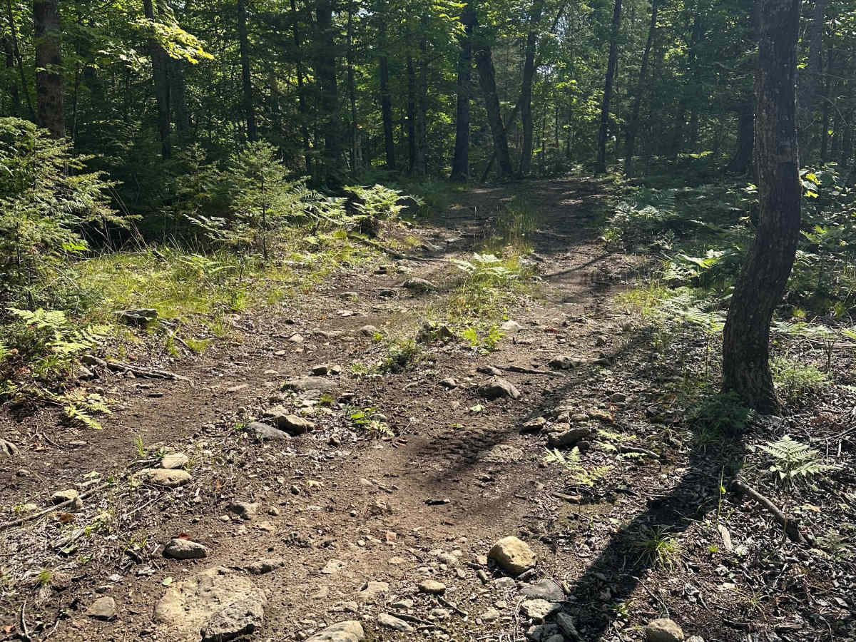 Swamp West  trail photo