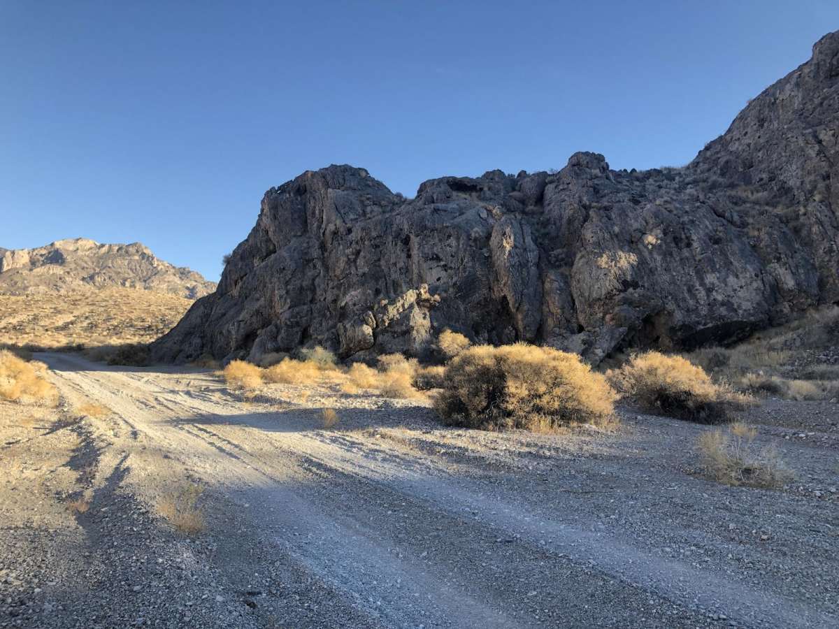 Cow Camp Road photo 3