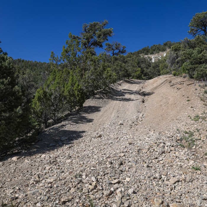 Near White Pine Hill