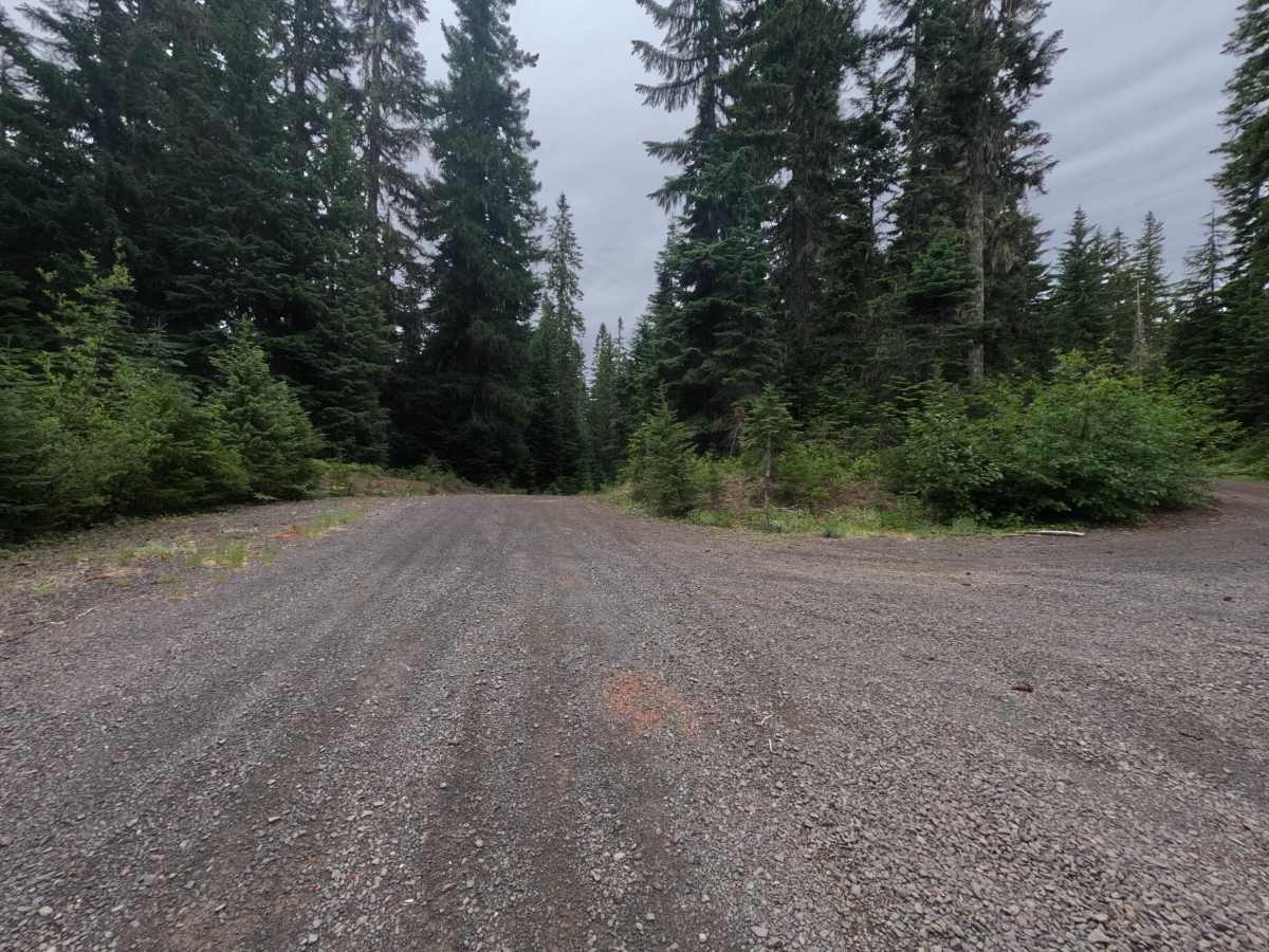 FS 2334015 photo 2