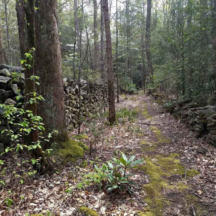 Near Old Settlers Trail