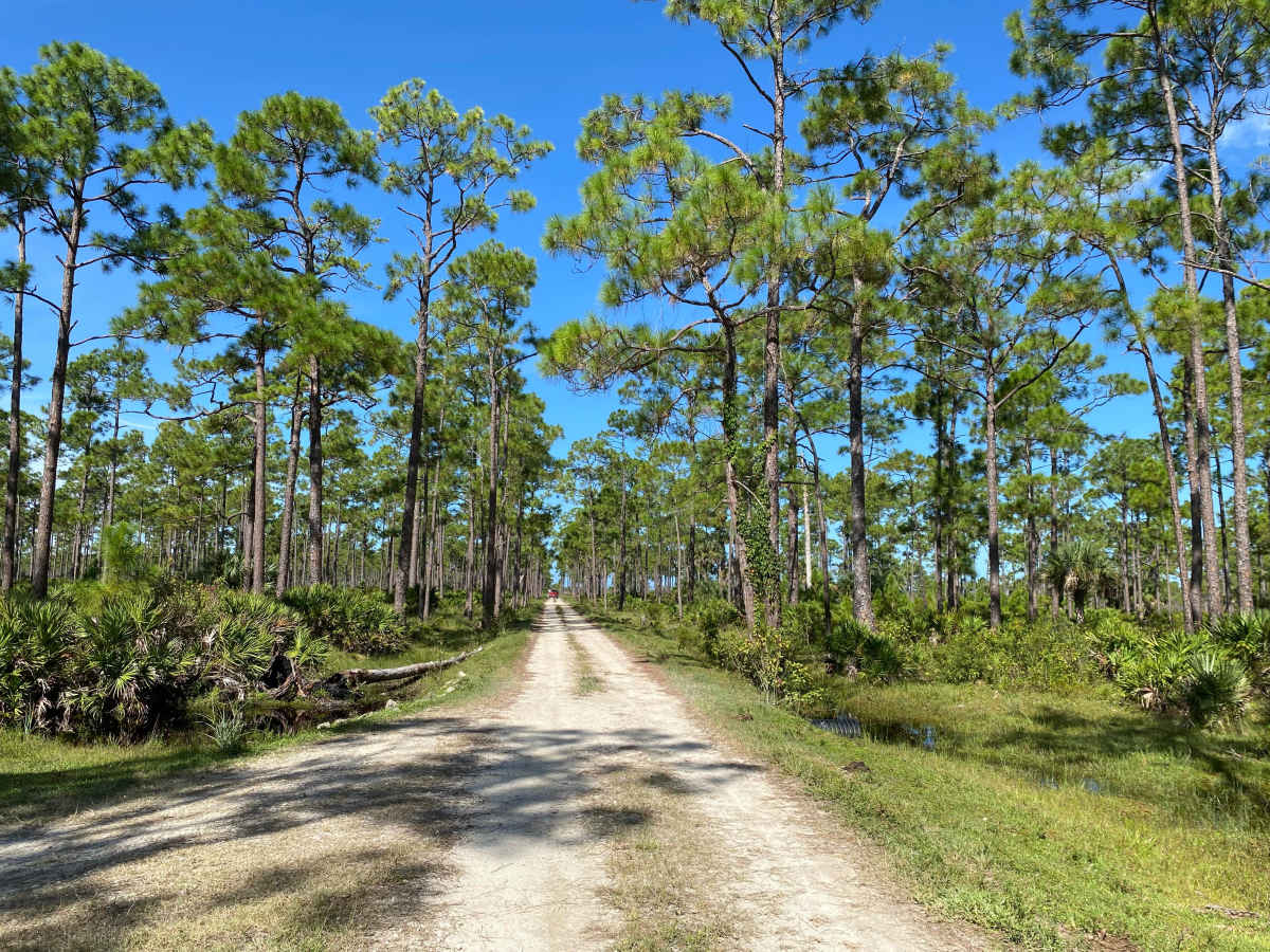 Road 6 photo 3
