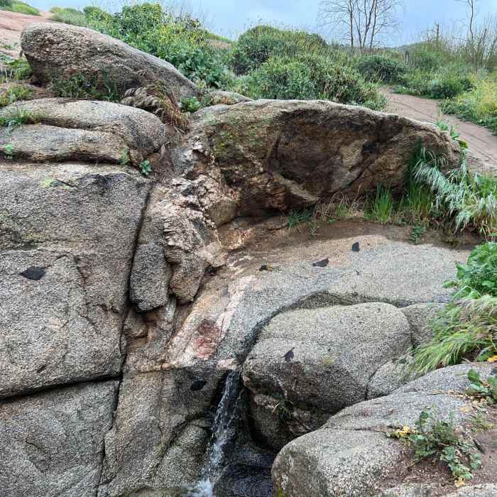 Near Sycamore Canyon