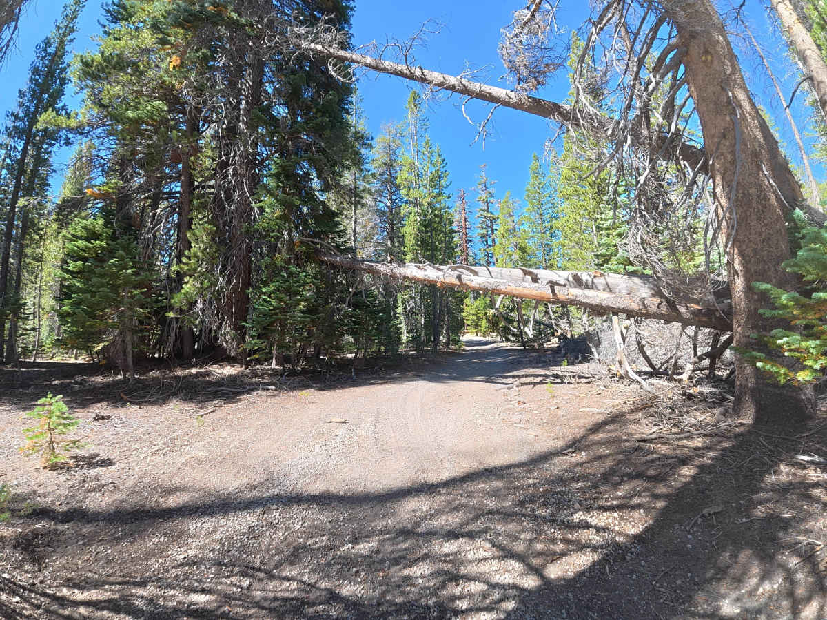 FS 27E102 trail photo