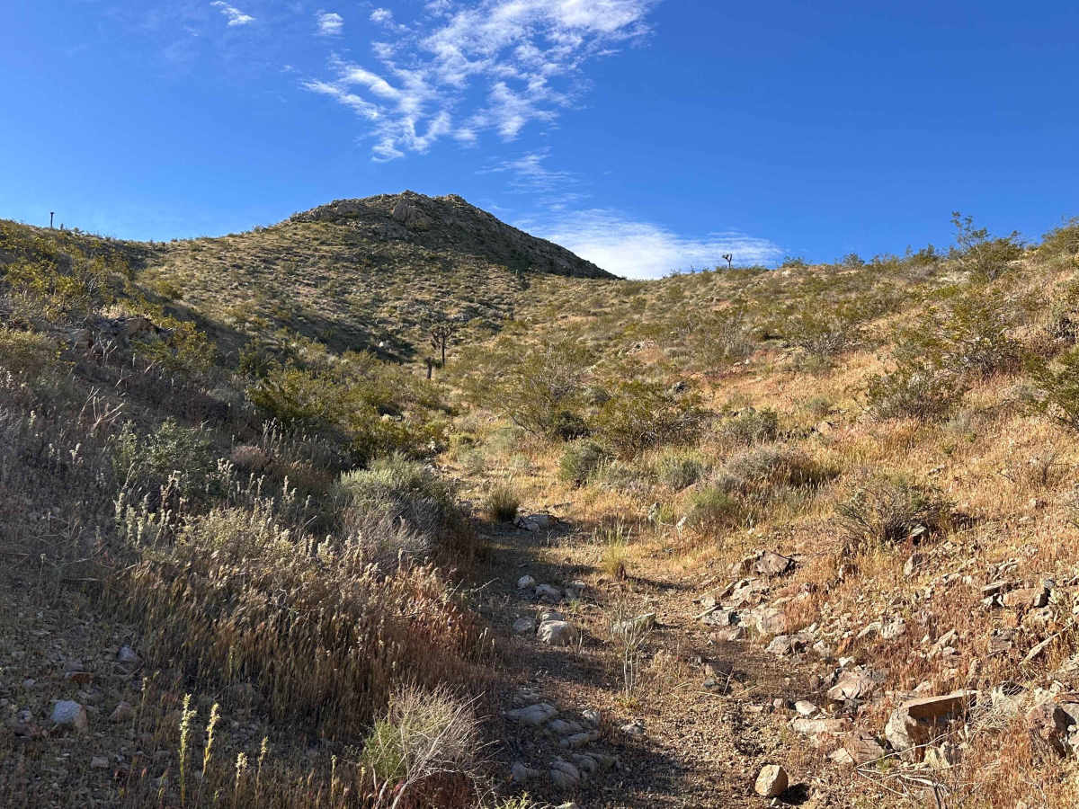 Dry Wash Trail photo 3