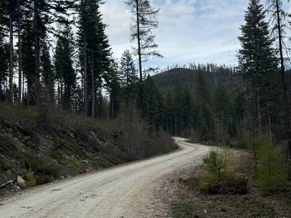 Goat Creek - FS 6100-215 photo 5