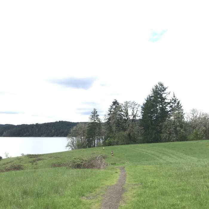 Near Henry Hagg Lake Loop