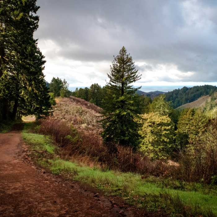 Near Harkins Ridge Trail
