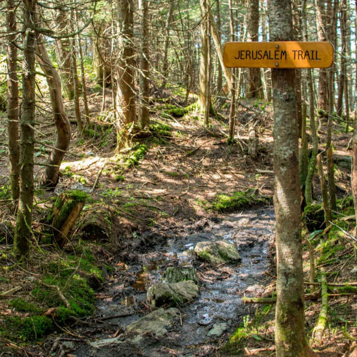 Near Mount Ellen via Jerusalem Trail