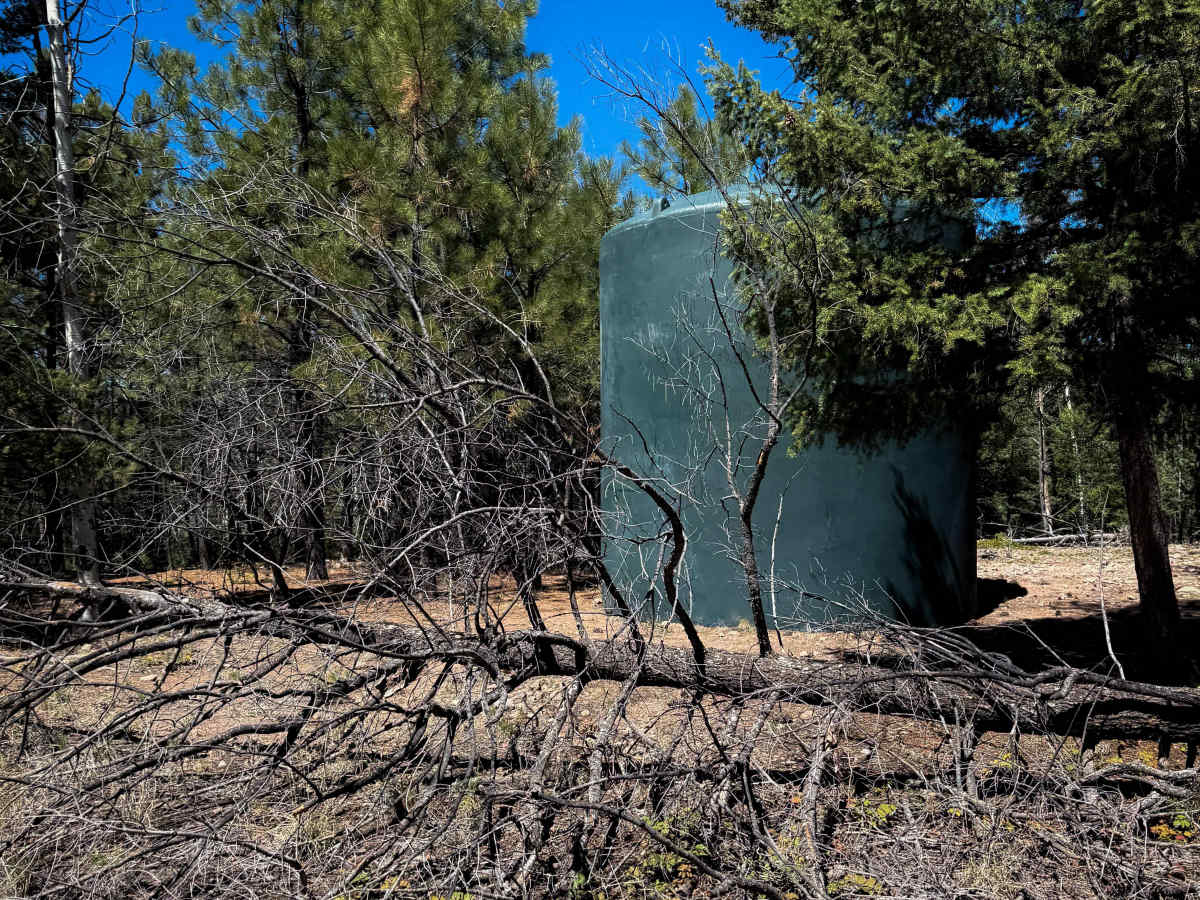 Lake Fork Mesa Loop - 505A   photo 5