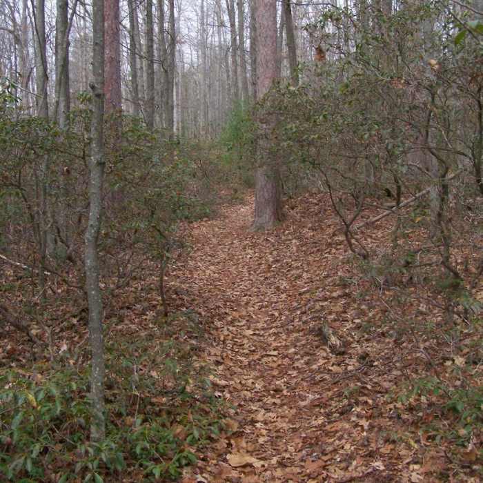 Rim Trail. Near Rustic Camping Area to Pine Creek