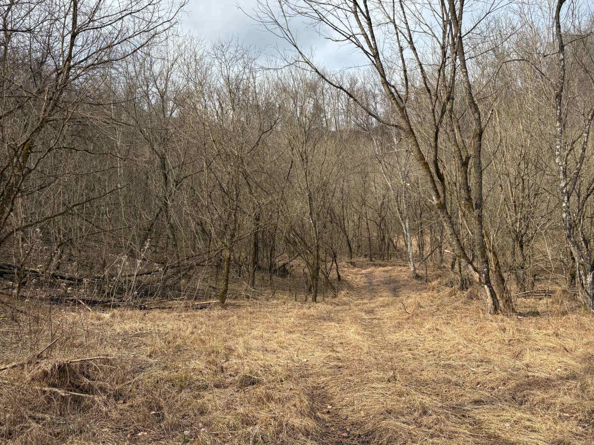 Trail 4 photo 4