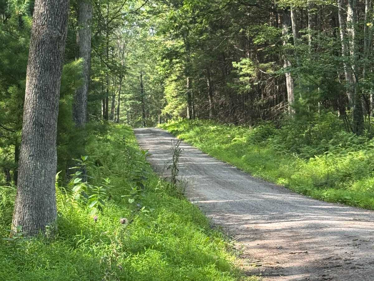 Silver Springs Road trail photo