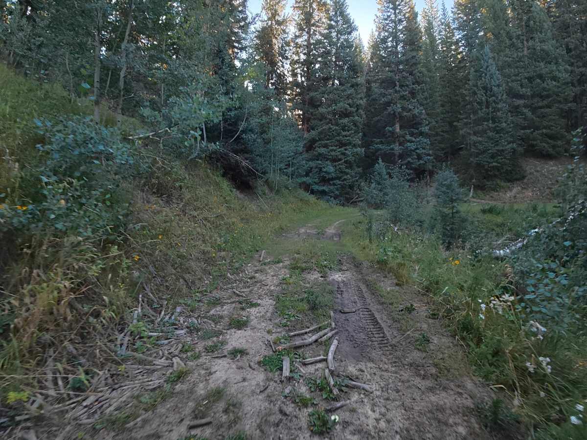 North Elk Cutoff Road - FS 248 photo 2