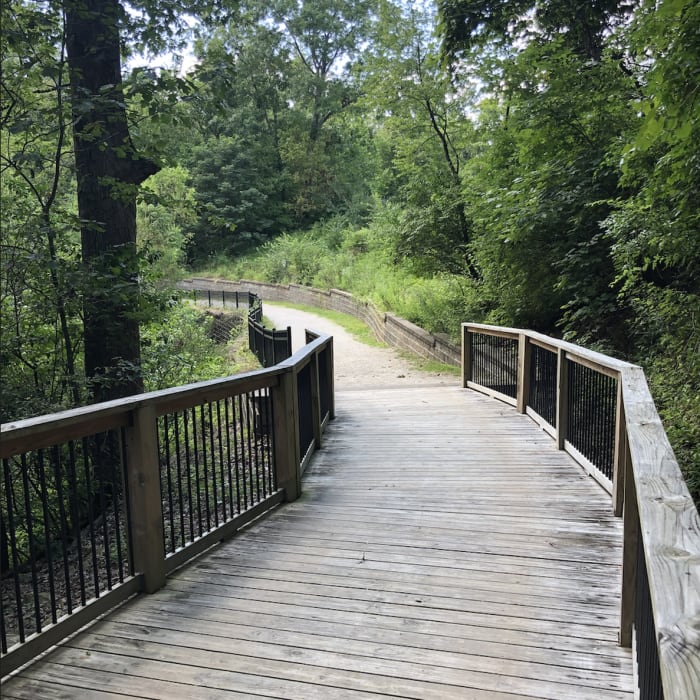 Near Riparian Trail