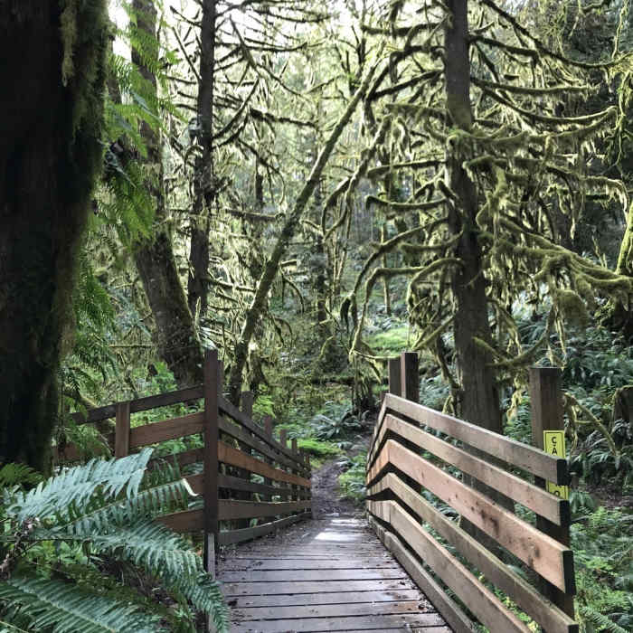 Near Henry Hagg Lake Loop
