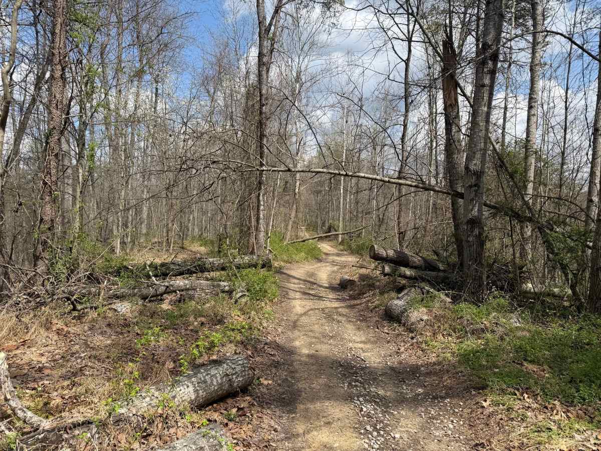 Superior Corridor Trail photo 2