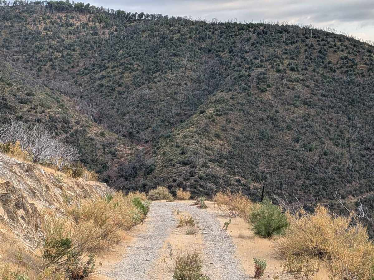 Buffalo Gulch Road photo 2