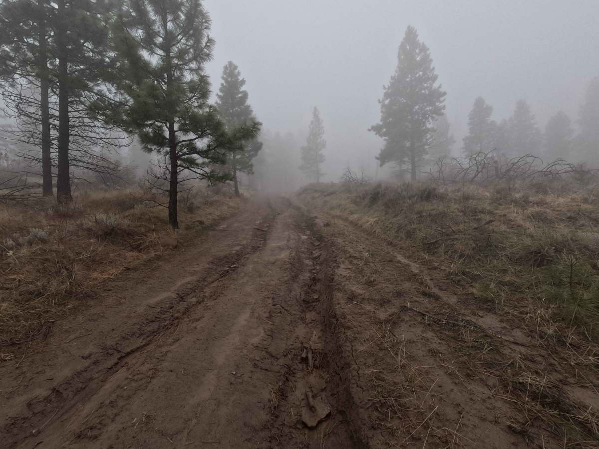 Tarpiscan Road Spur photo 5