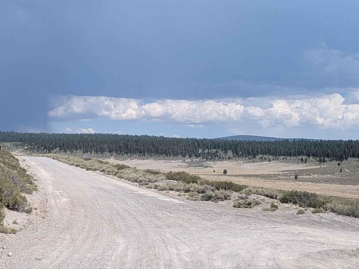 Pumice Mine Road - FS 1S40 photo 6