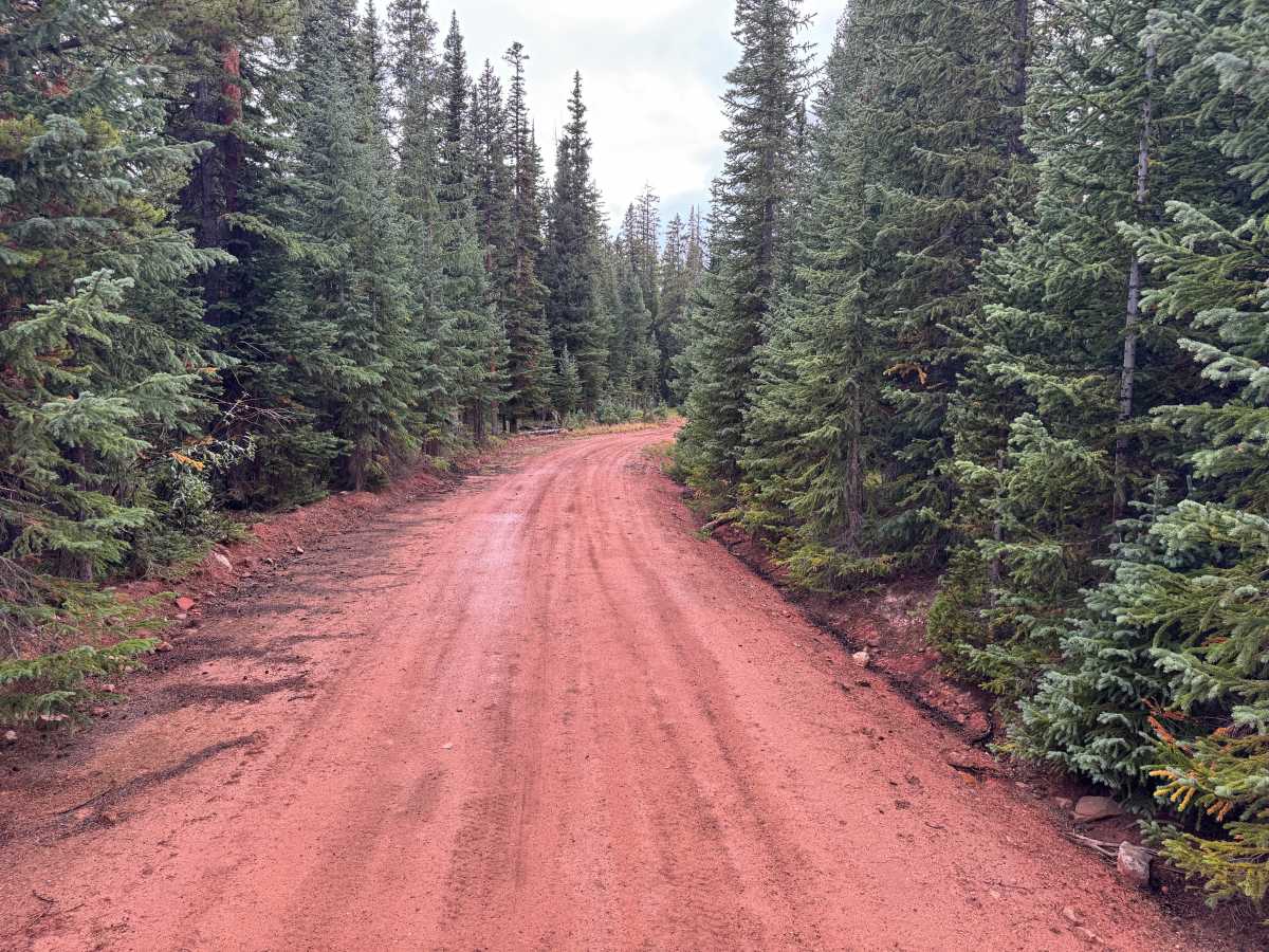 Red Canyon Road photo 2