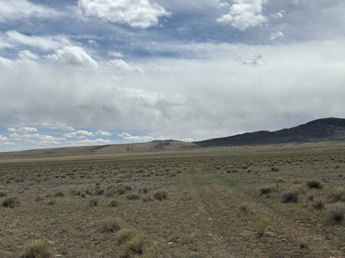 North Turquoise Road photo 3