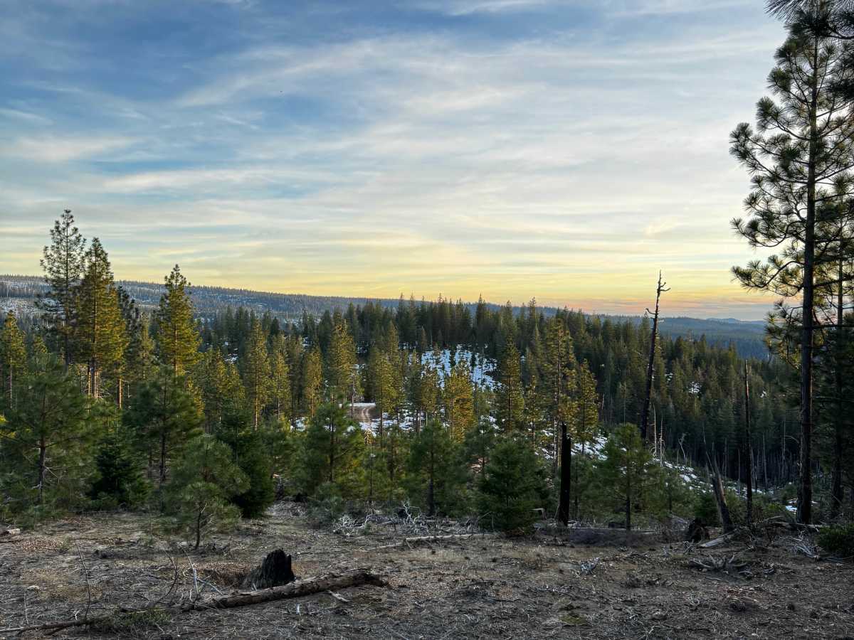 American Hill Mine photo 5