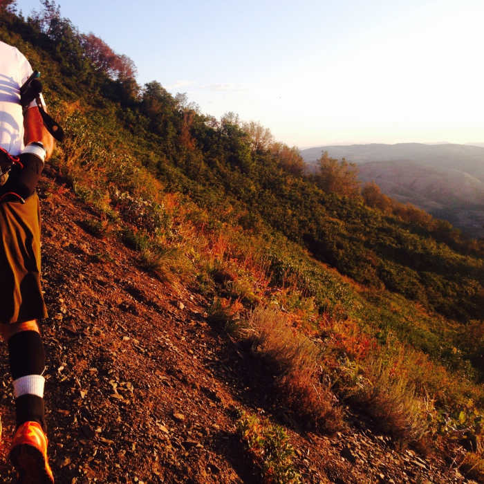 Making our way up the grind. Near Ben Lomond Trail