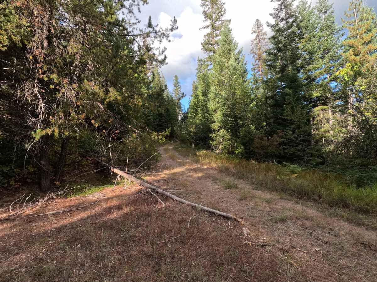 Tola C - FS 461C trail photo