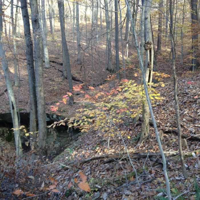 Near Greenwood/Scenic River Trail Classic