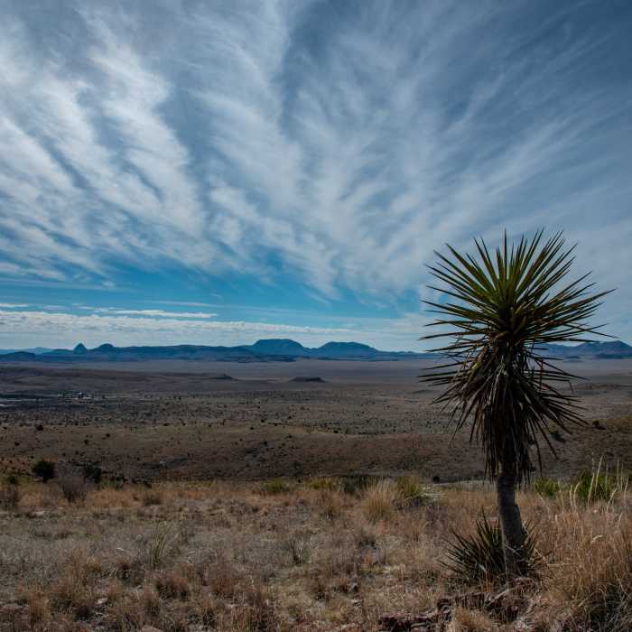 Desert View Near Skyline Drive Trail