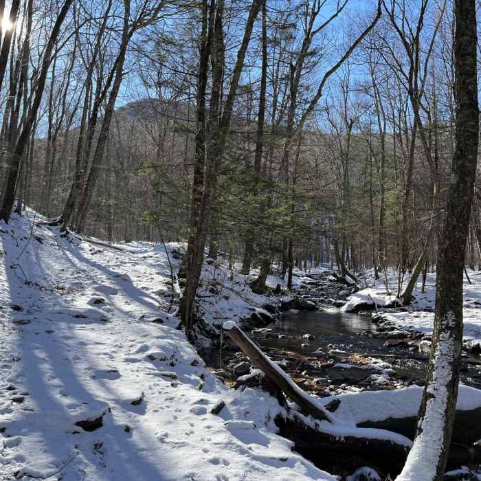 Near Ashokan High Point